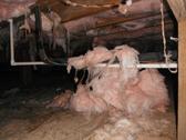Falling and dirty insulation in the crawlspace.