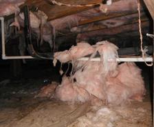 Falling and dirty insulation in the crawlspace.