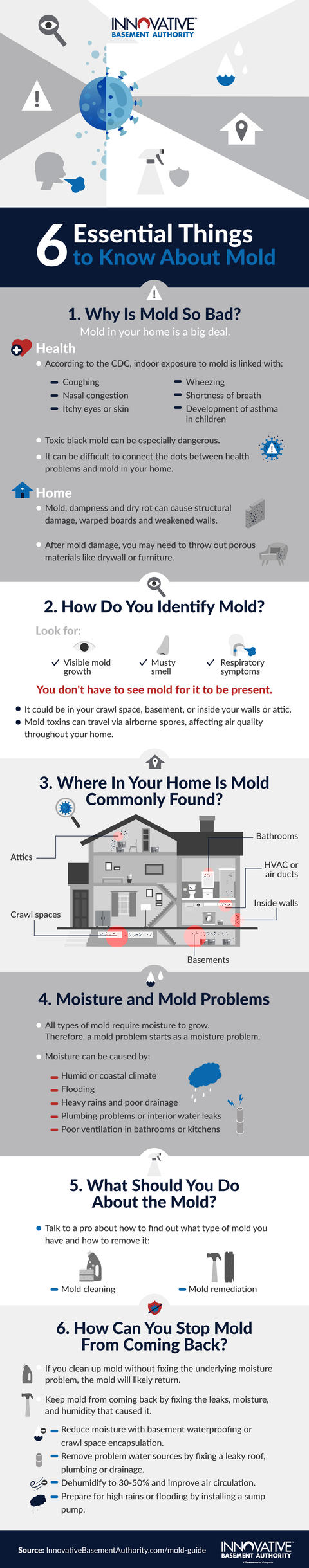 Mold Guide infographic.