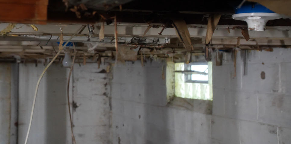 Open basement vents with wiring hanging from the ceiling.