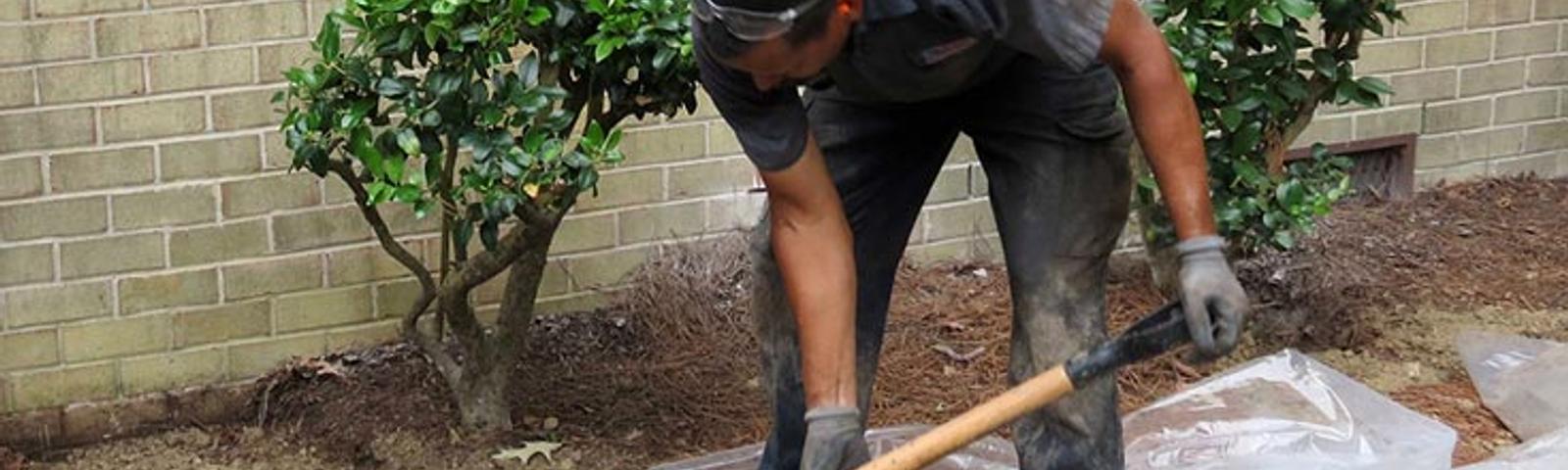 Crew digging around trees near the foundation.