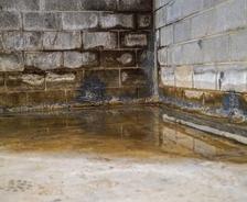 wet and moldy basement