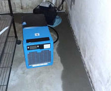 Dry basement dehumidifier and sump pump.