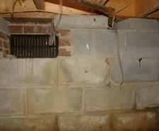 Snake in the crawlspace of your home.