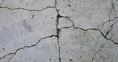A closeup of cracked concrete.