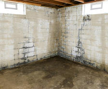 Damp basement with stained concrete walls and floor, exposed ceiling, and two small windows.