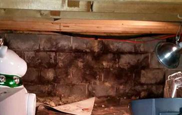 Moldy and damp on the cinderblock wall in the basement.