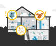types of dangerous mold in the home Illustrated Featured Image