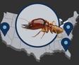 worst us states for termites illustrated featured image