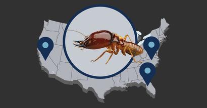 worst us states for termites illustrated featured image