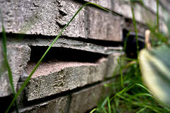 Close-up of a brick wall with cracks, surrounded by grass and leaves.