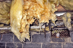 Wet and moldy insulation falling from dirty crawlspace.