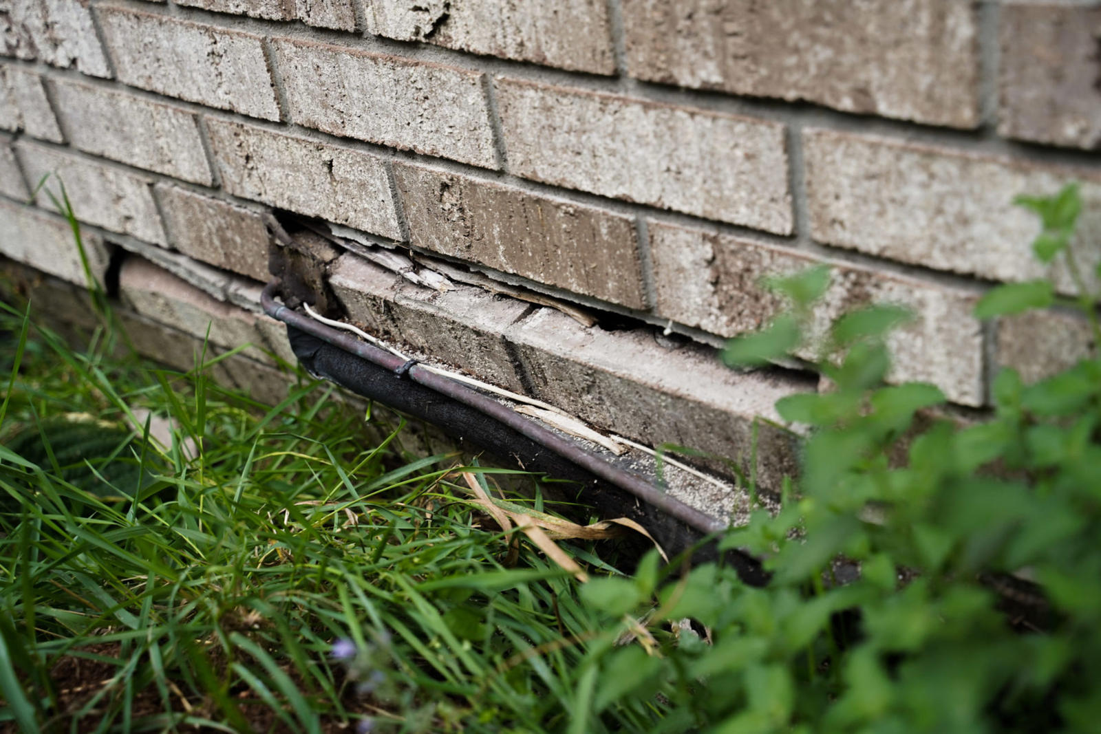 Bowing and cracked brick on the exterior foundation wall.