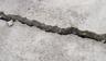 cracked concrete