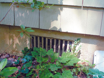 The exterior open crawlspace vent is covered in weeds.