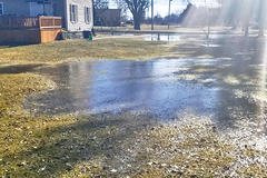 Standing water in the backyard.