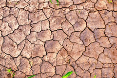 Wide shot of dry and cracked soil.