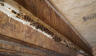 Mold on a wood joist in the crawlspace.