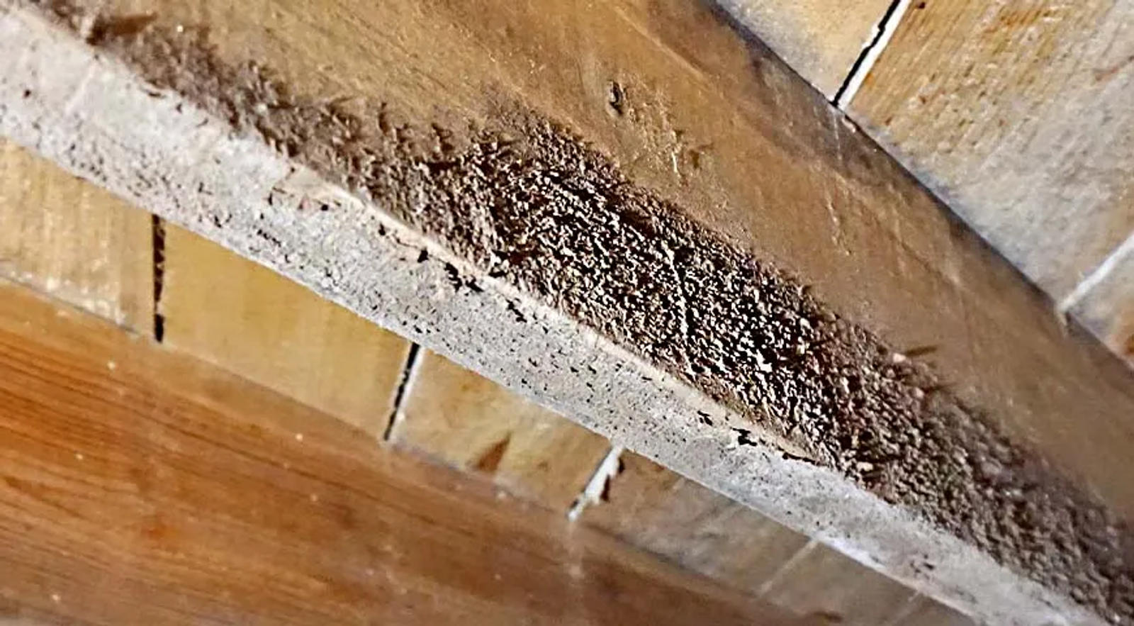 Crawl Space Problem Signs Hero