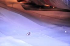 There is a dead bug in the crawlspace.