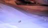 There is a dead bug in the crawlspace.