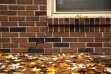 Crack in brick wall beneath a window with autumn leaves scattered on the ground.