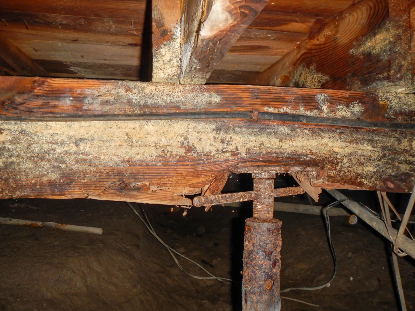 moldy rotten wood joist with rusty jack
