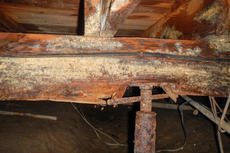 moldy rotten wood joist with rusty jack