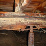 moldy rotten wood joist with rusty jack