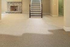 Wet carpet in basement