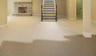 Wet carpet in basement
