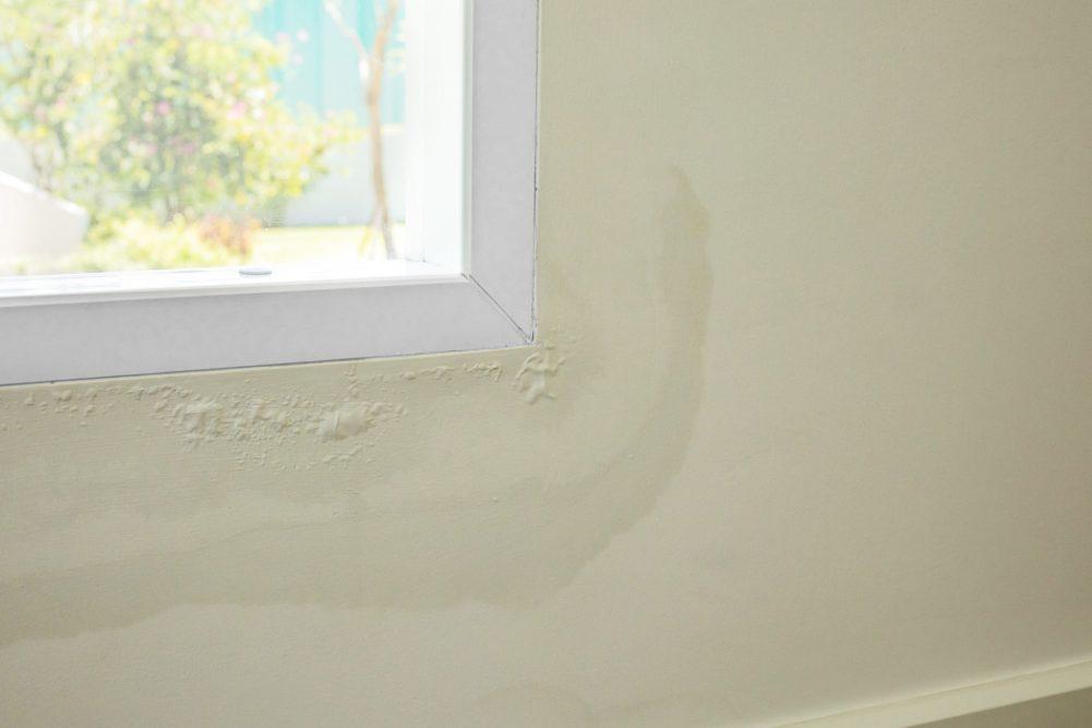 Wet wall under leaking window