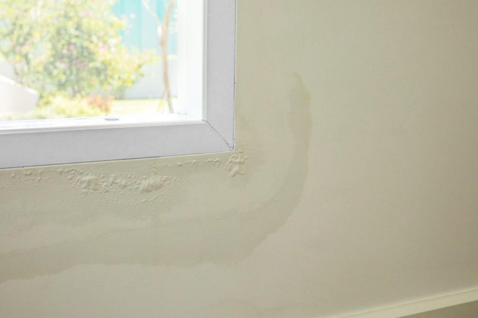 Wet wall under leaking window