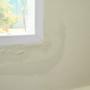 Wet wall under leaking window