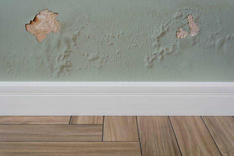Peeling and wet drywall in home