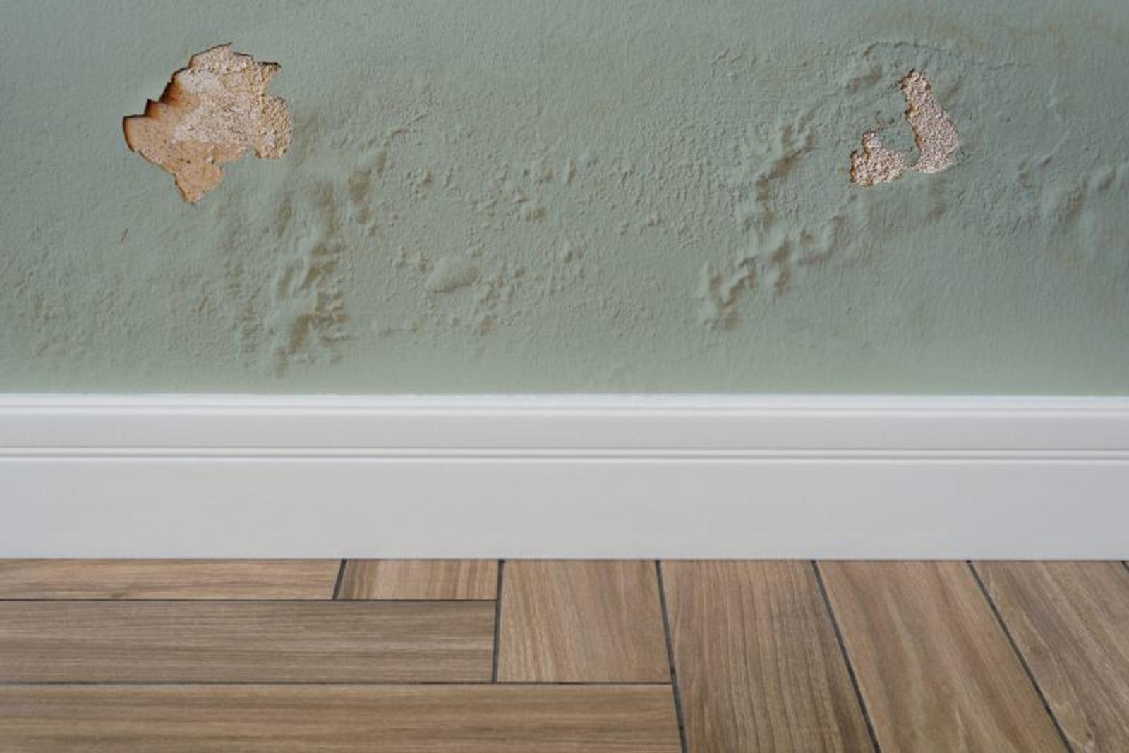 Peeling and wet drywall in home