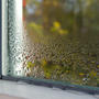 Condensation on basement windows