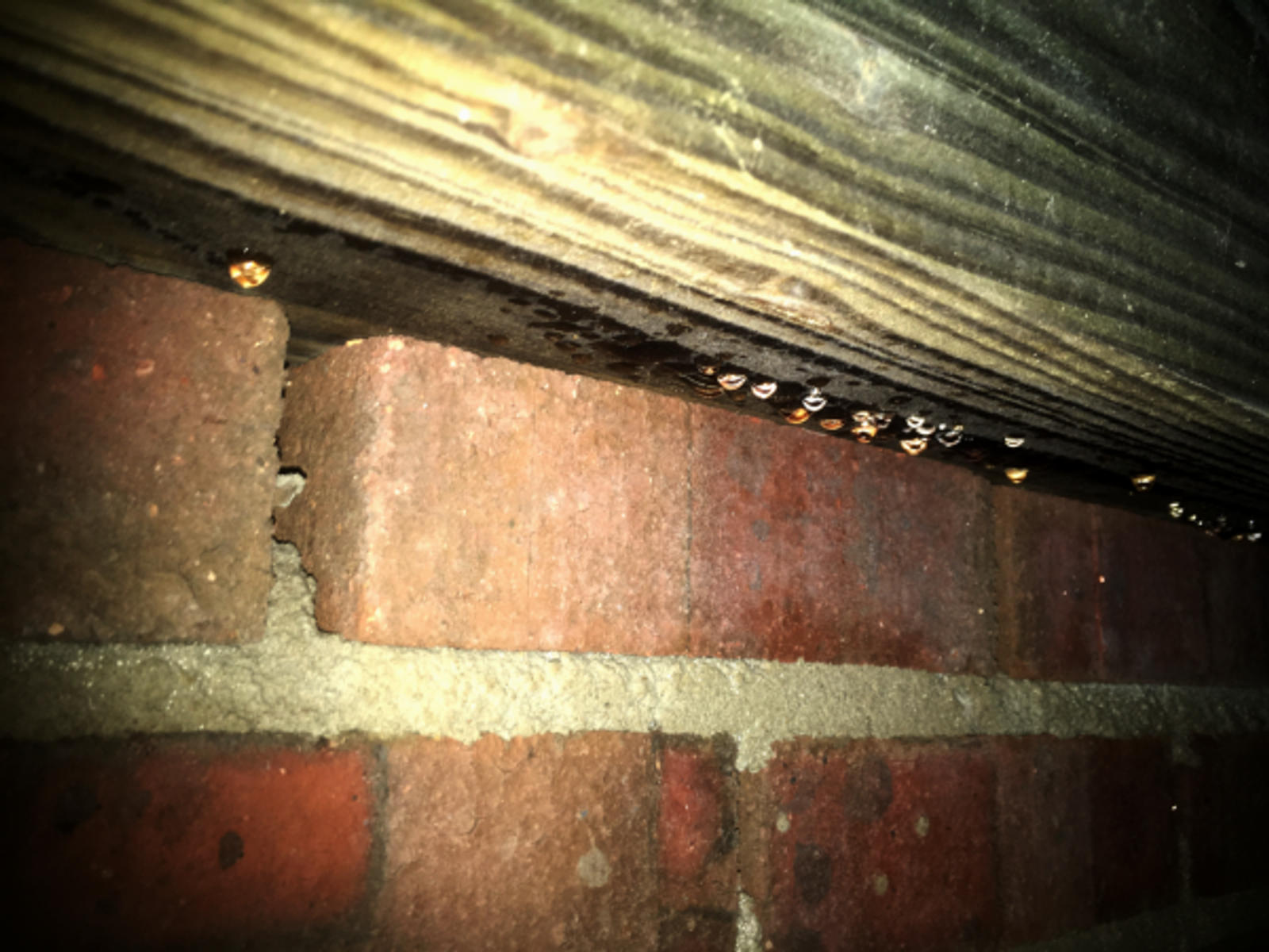 Water droplets hanging from wooden beams above red brick wall, illuminated in dim lighting.