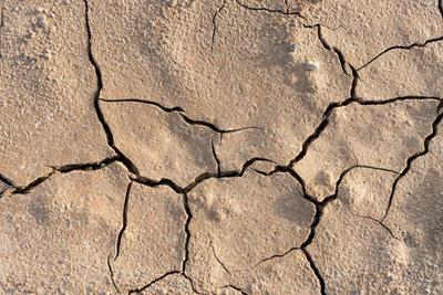 Cracked shrunken soil