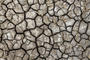 Shrinking cracked soil with grass