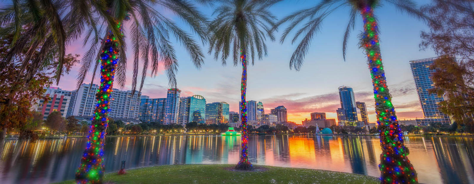 Palm Trees with colored lights overlooking Orlando skyline