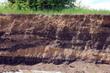 Cut out view of soil layers with grass on the top