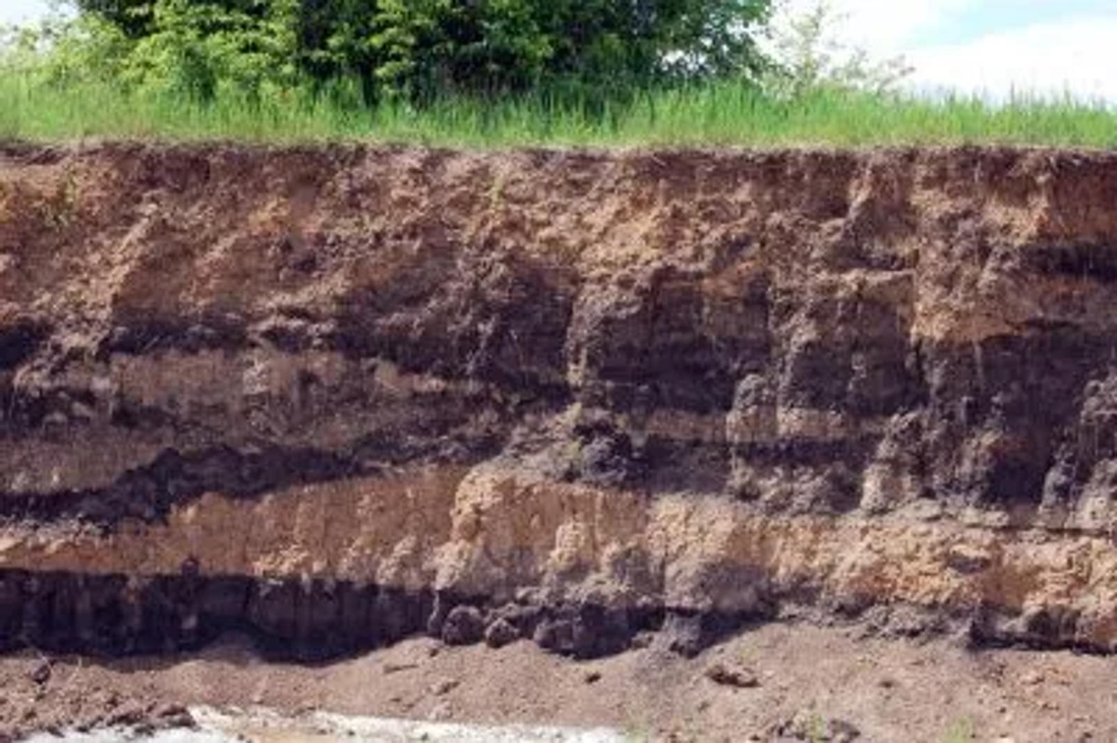 Cut out view of soil layers with grass on the top