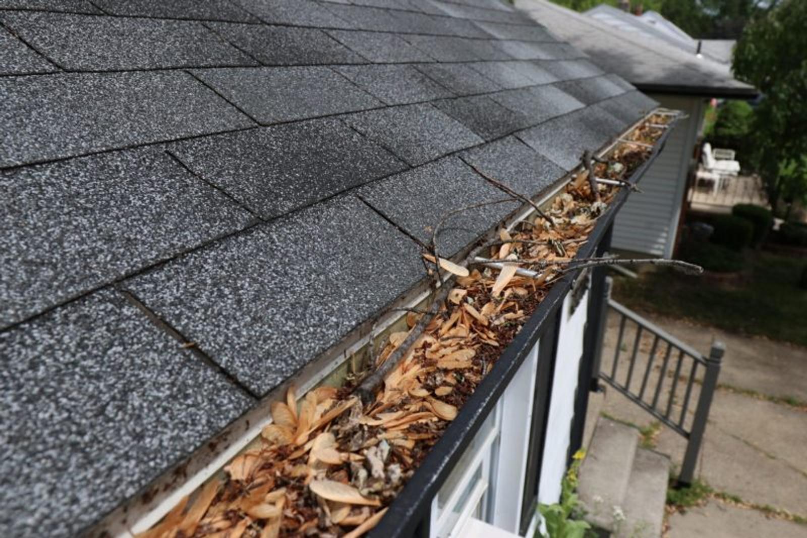 Gutter filled with leaves, sticks, and debris along the roof edge of a house.