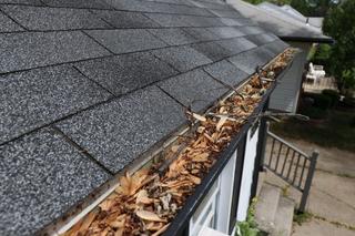 Gutter filled with leaves, sticks, and debris along the roof edge of a house.
