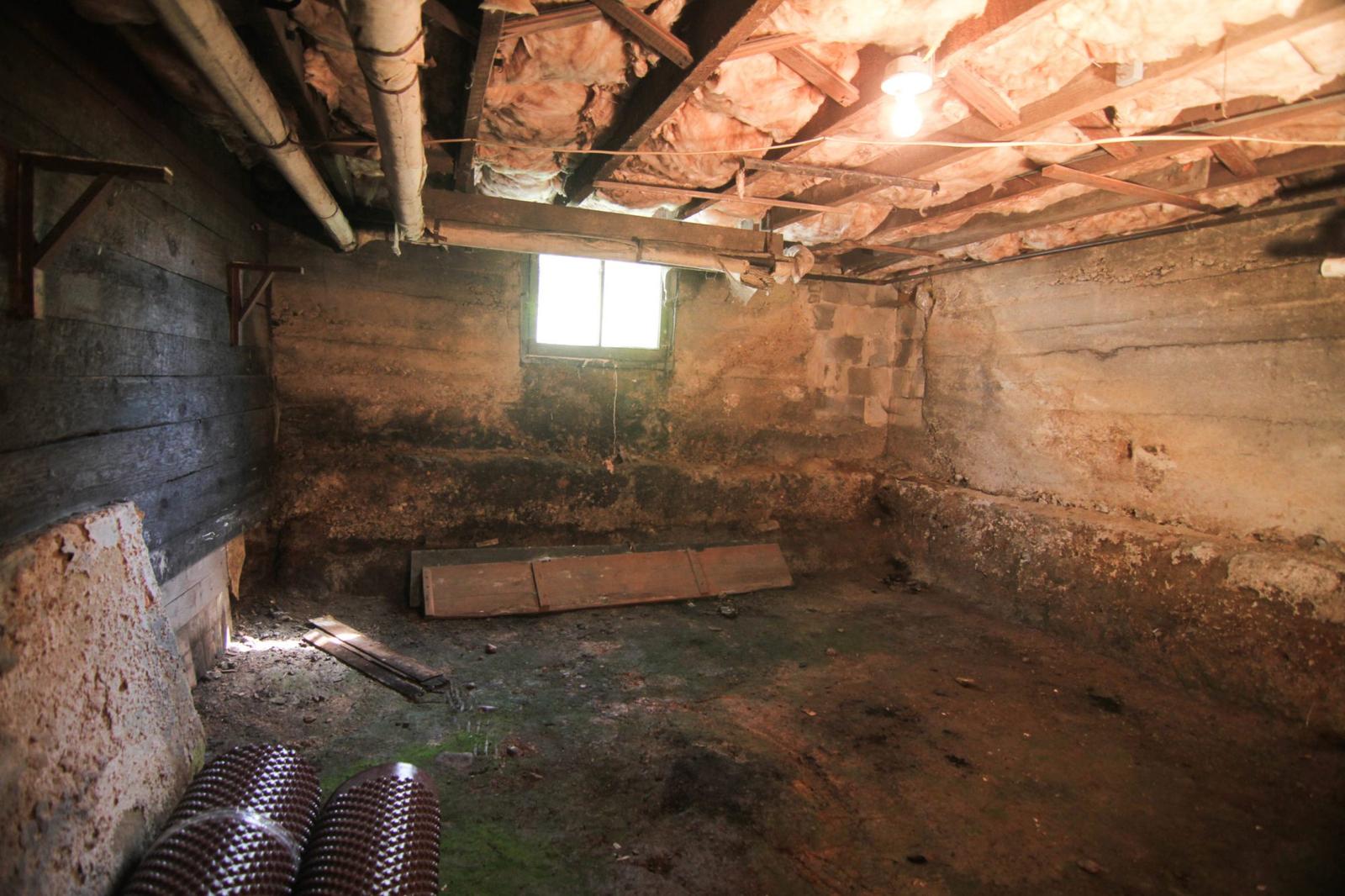 Wet musty basement