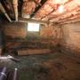 Wet musty basement