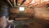 Wet musty basement