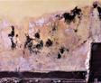 Yellow wall with large black mold patches and peeling paint near the floor and a partially exposed corner.