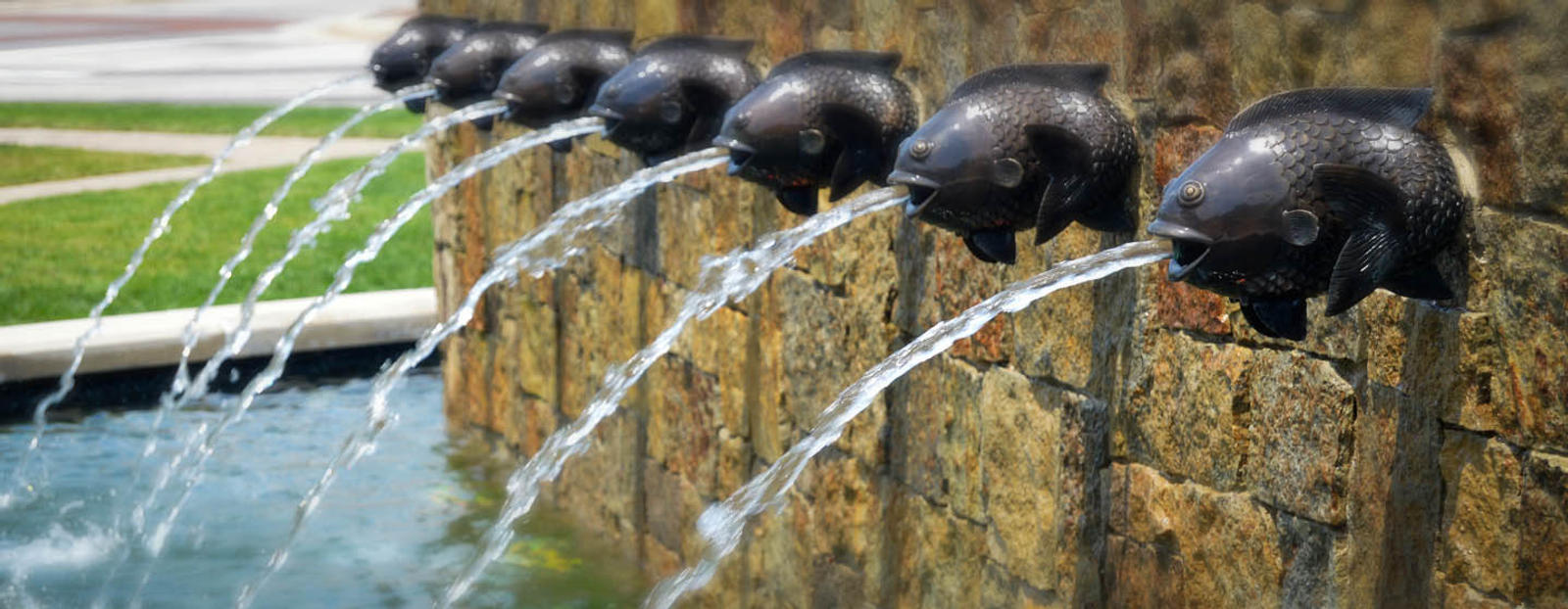 Fish foundation with water